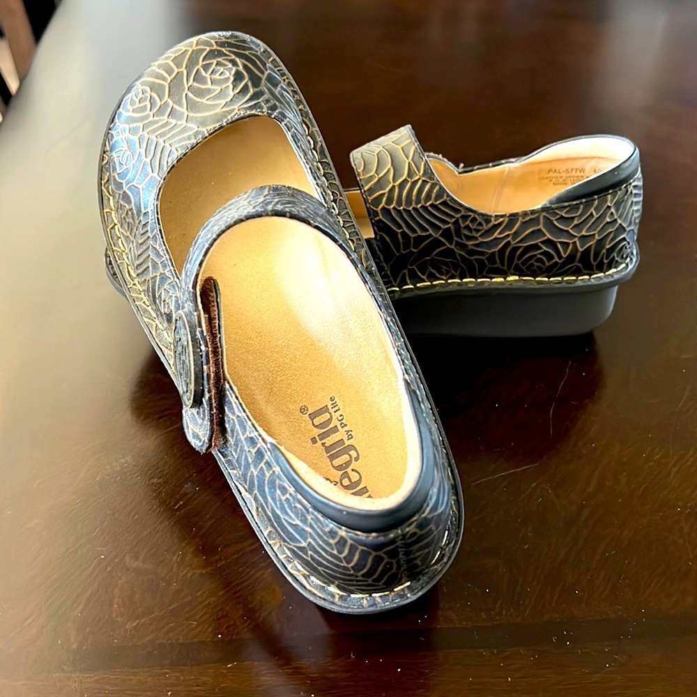 Never worn Alegria shoes